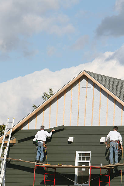 Best Siding Painting and Refinishing  in Rockville, MN