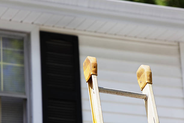 Best Custom Trim and Detailing for Siding  in Rockville, MN