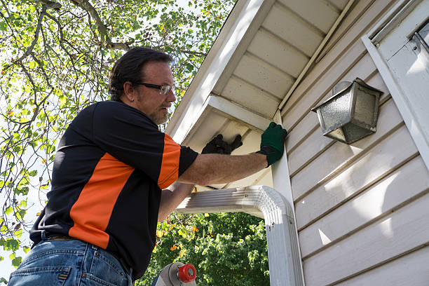 Best Fascia and Soffit Installation  in Rockville, MN